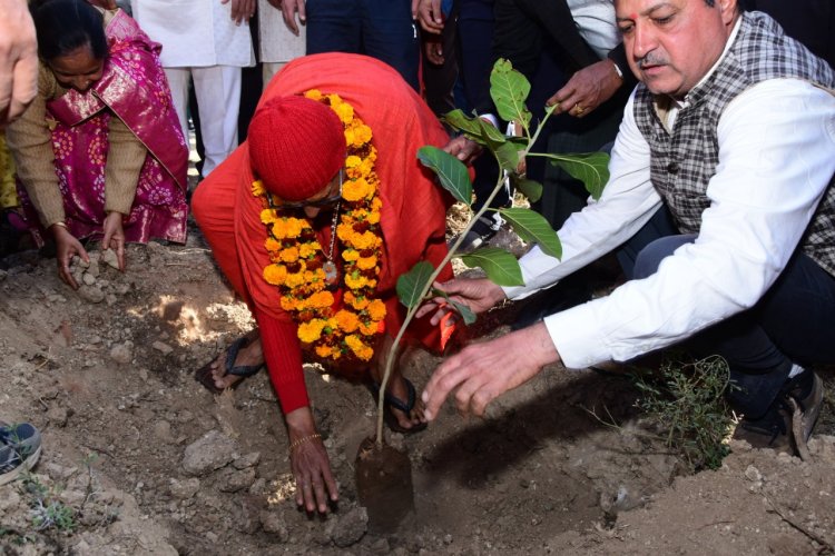 हरिशेवा उदासीन आश्रम के महामंडलेश्वर स्वामी हंसराम जी उदासीन ने जन्मदिवस पर किया  पक्षीग्राम  चावन्डिया के तालाब पर वृक्षारोपण